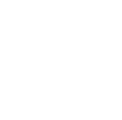 Bear Wolf Customs logo